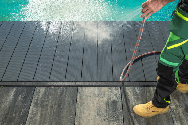 Best Local Pressure Washing Services  in Papillion, NE