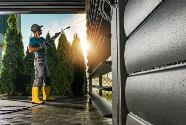 Best Residential Pressure Washing Services  in Papillion, NE