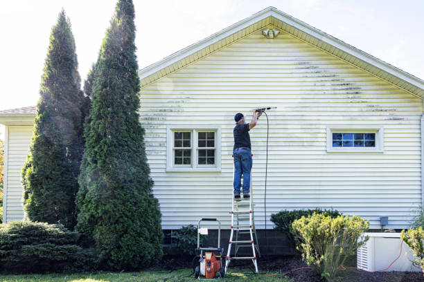 Best Concrete Pressure Washing  in Papillion, NE