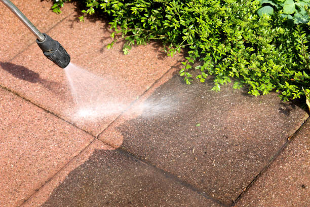 Deck Cleaning Services in Papillion, NE